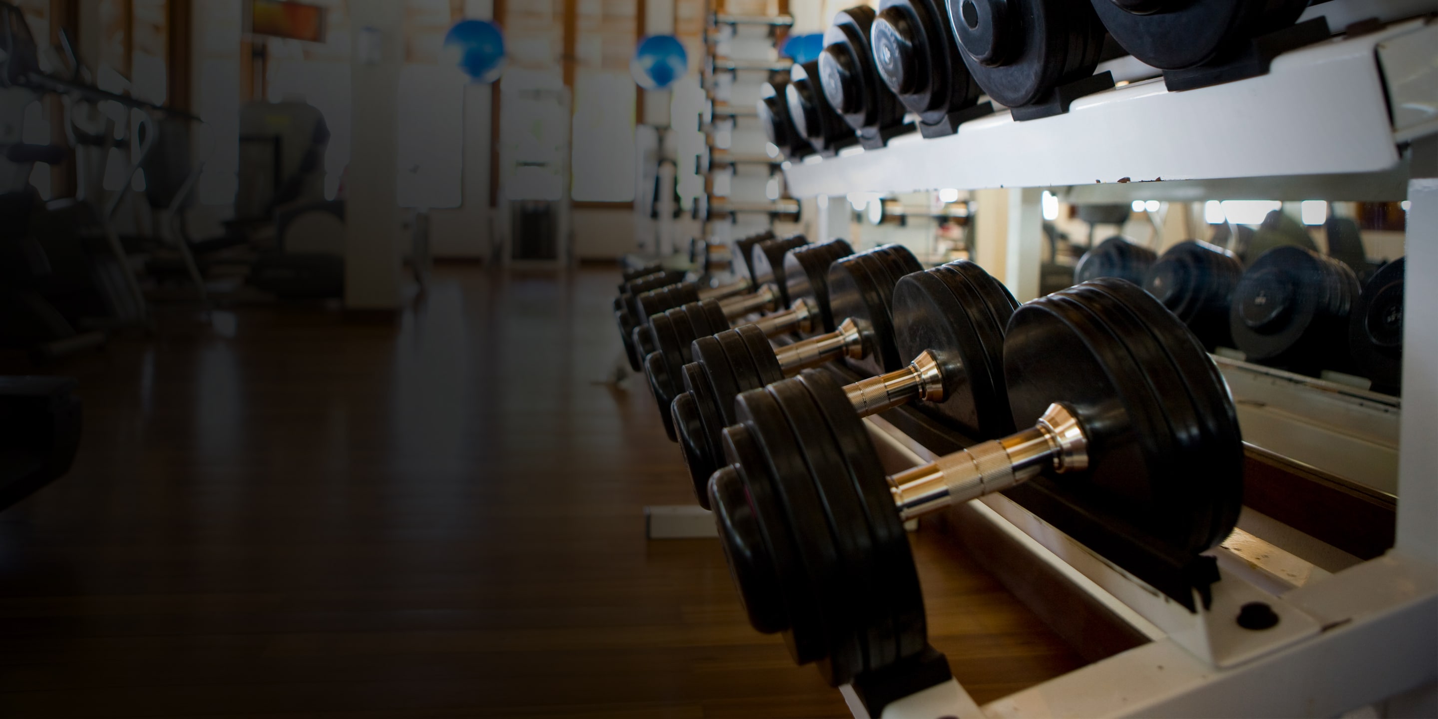 Dumbbell rack in gym